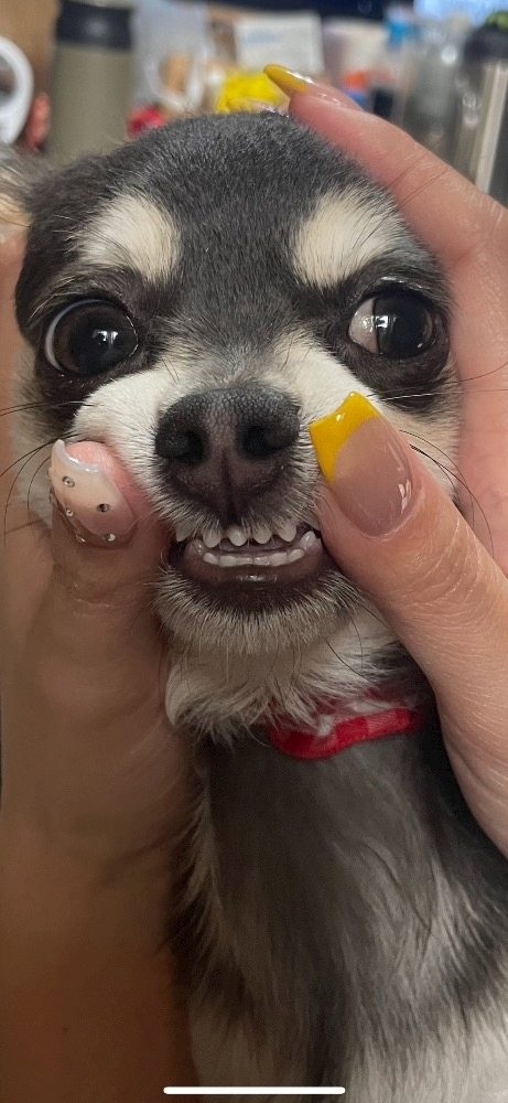 美月