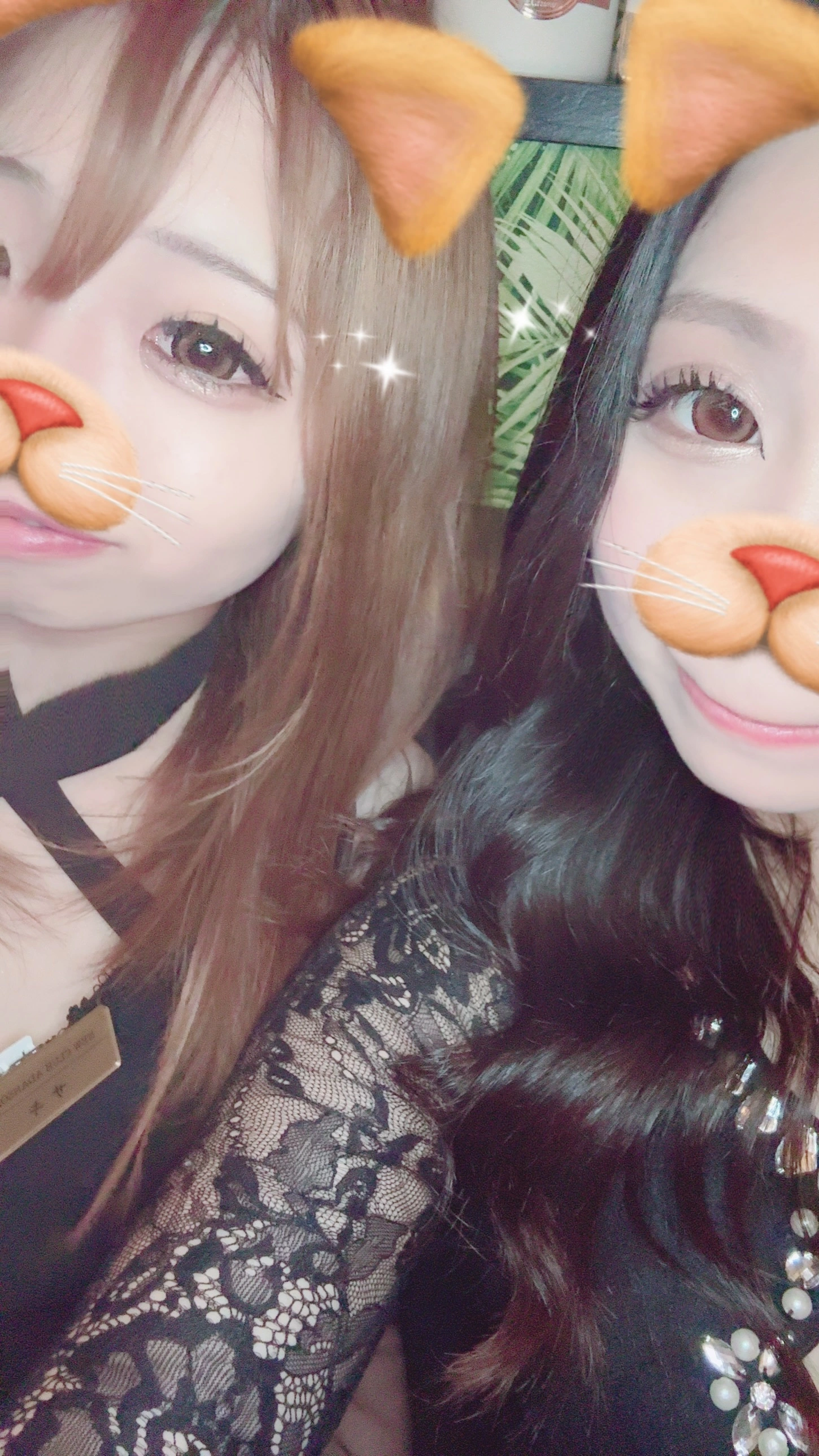 あきは