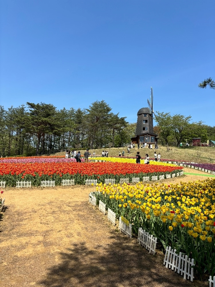 さな