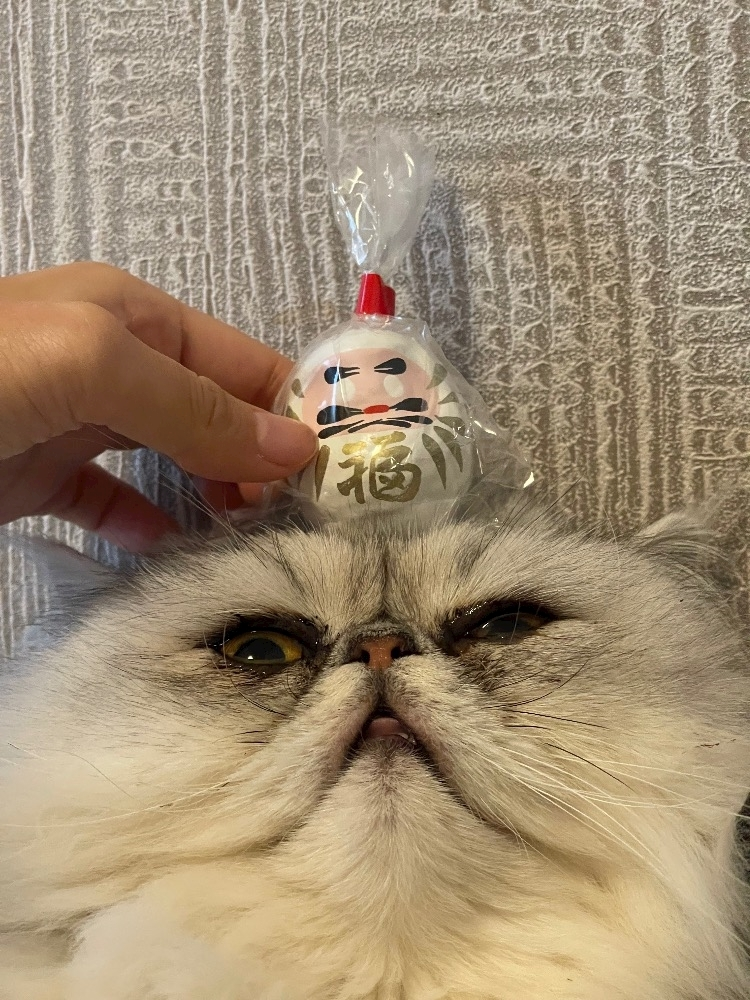 琶月 さな