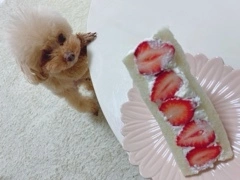 かおり