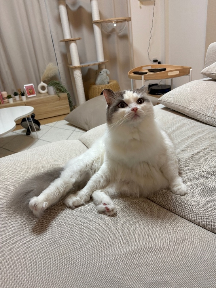 辻 みなみ