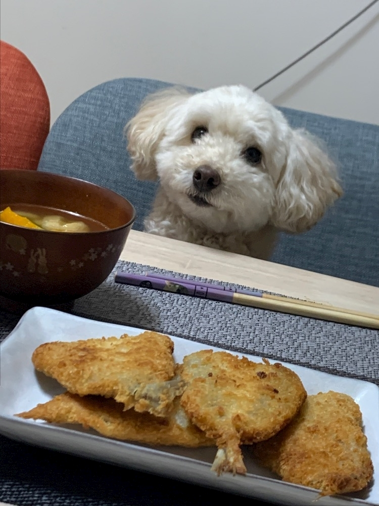 心海 るり