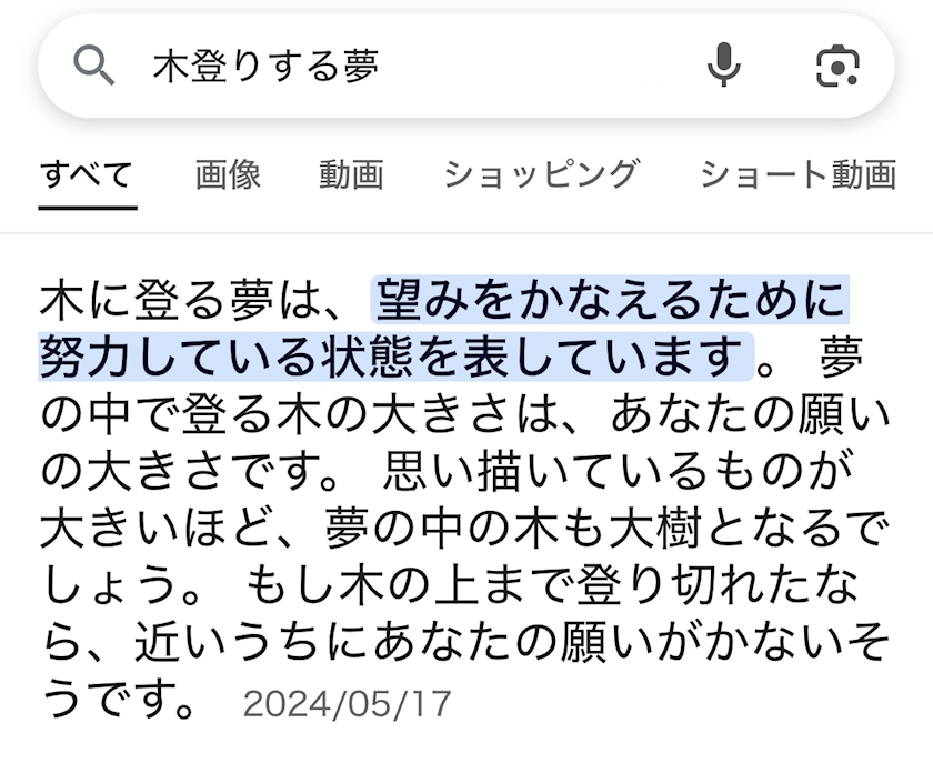蕾夢