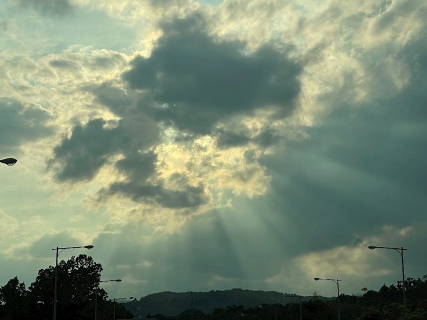朝倉 しおり
