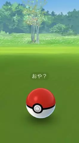 七星 夏純