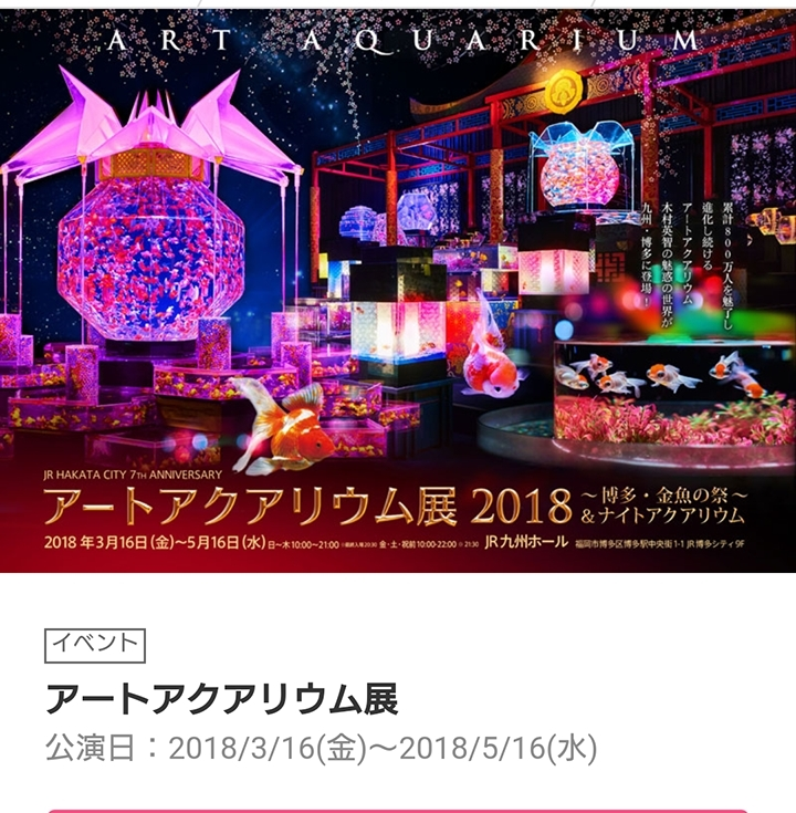 五条 椿