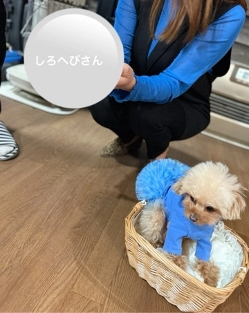 かおり