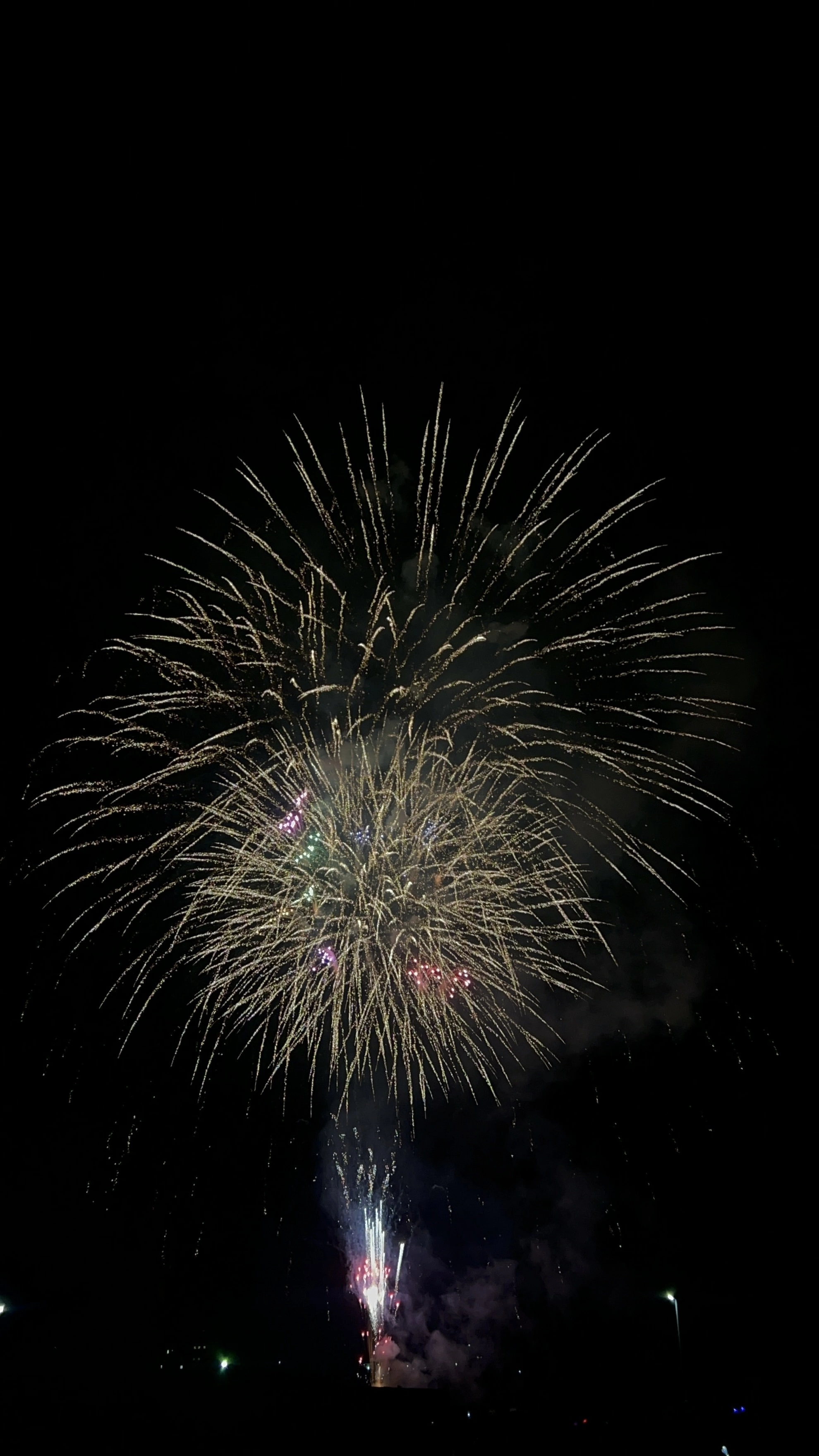 ヒナ