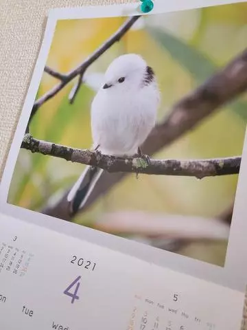 ひな