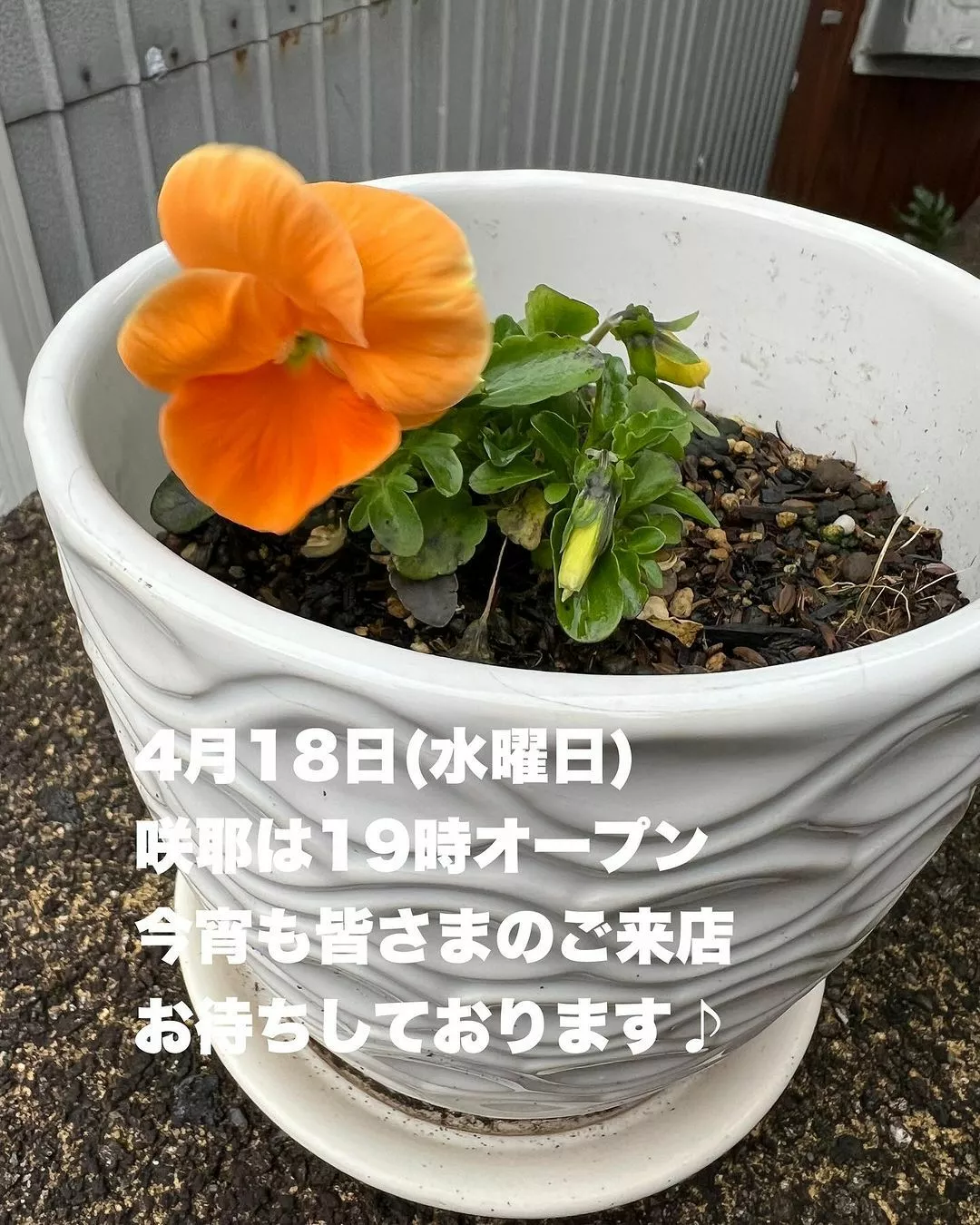 藤本 祐子ママ