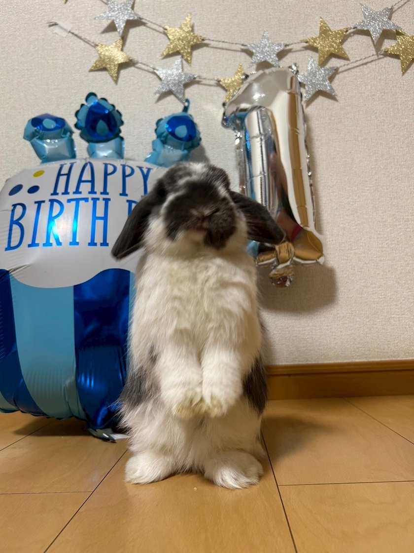 高槻 かえで