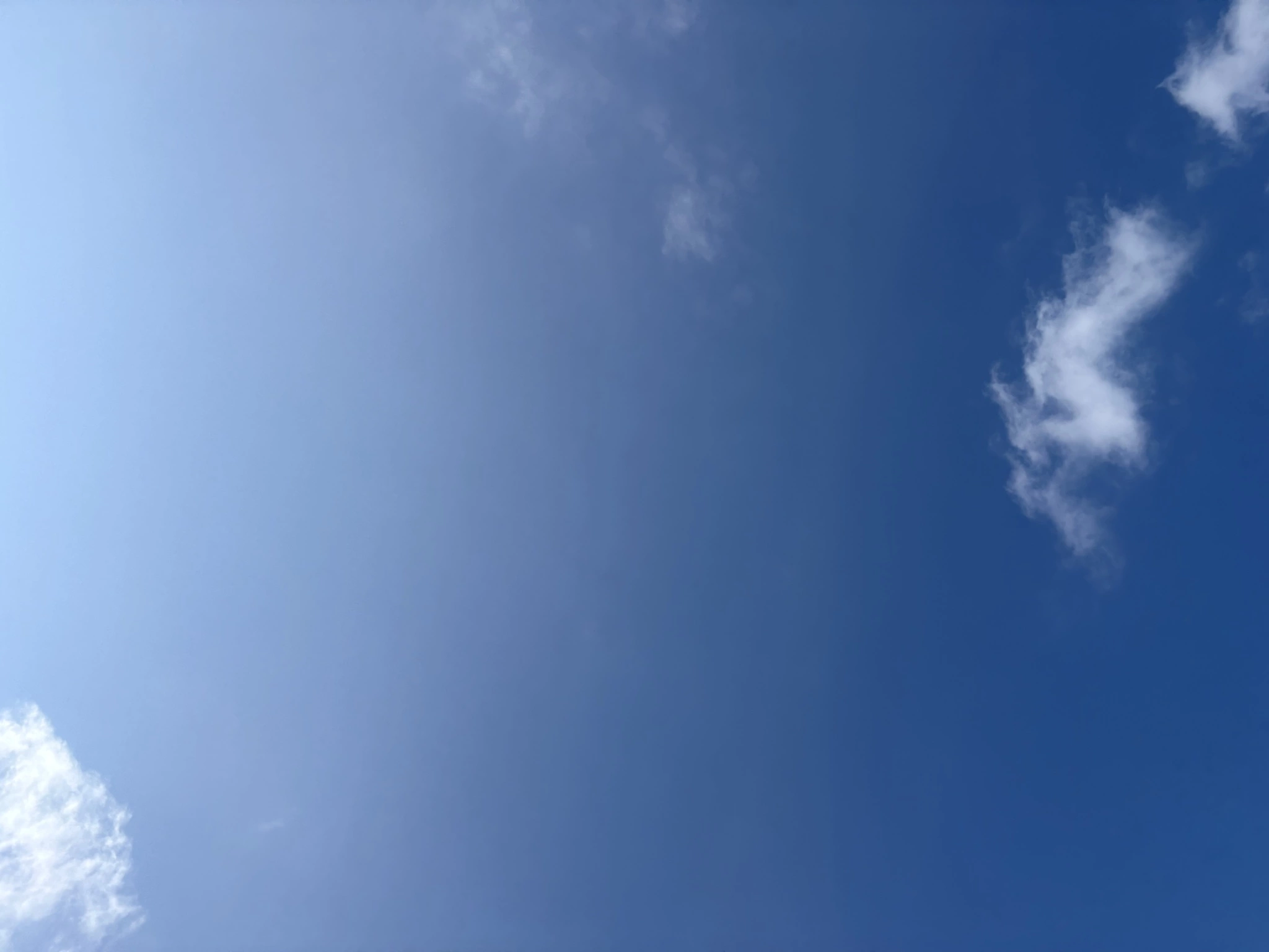 ゆな