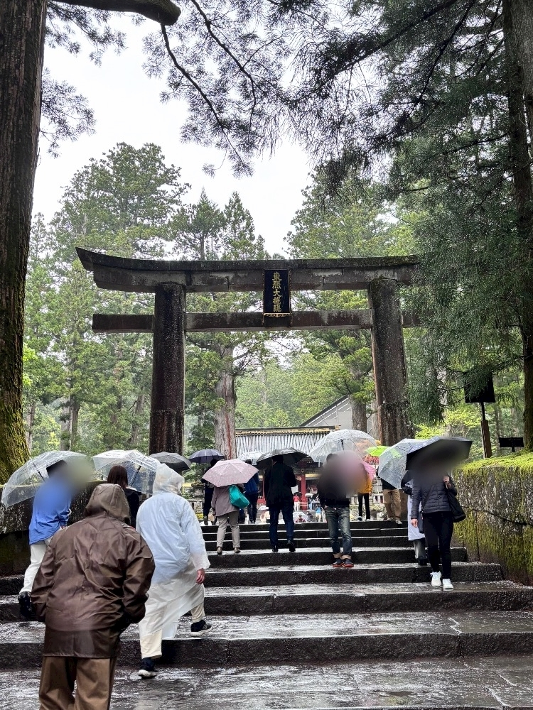 あおい