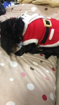 りえ