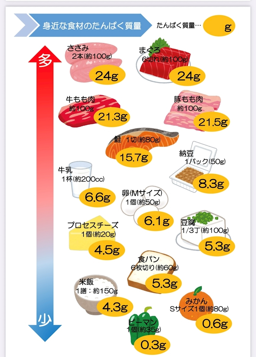 椿
