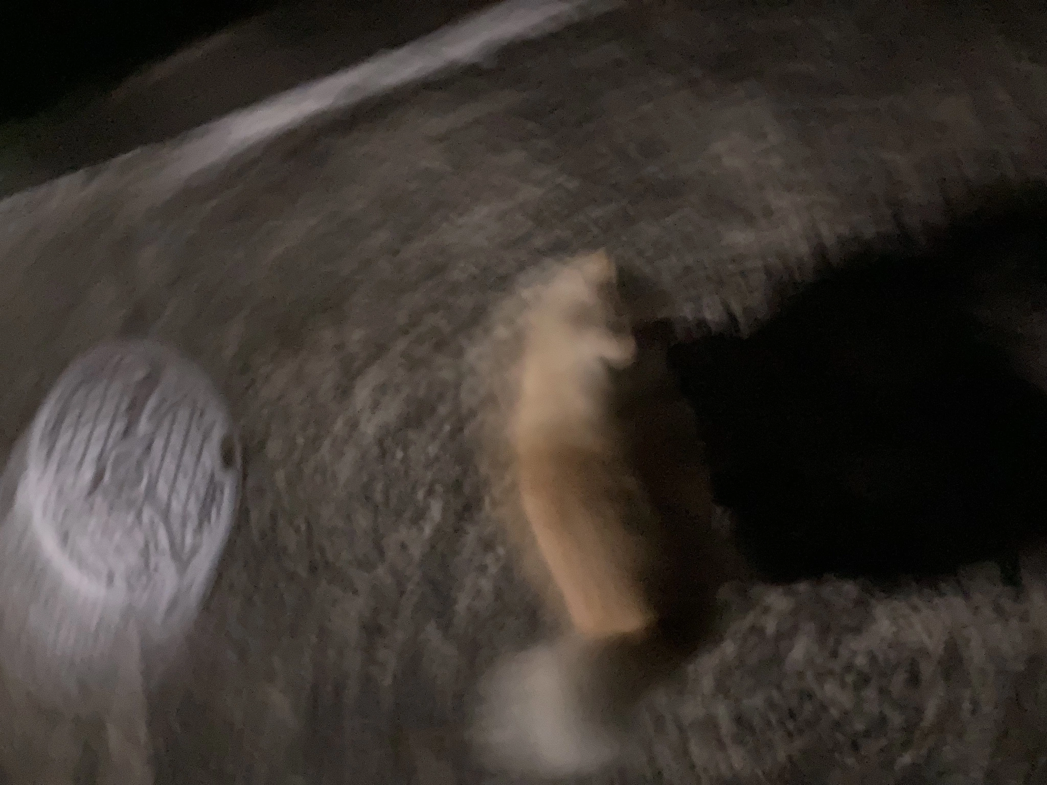 はづき