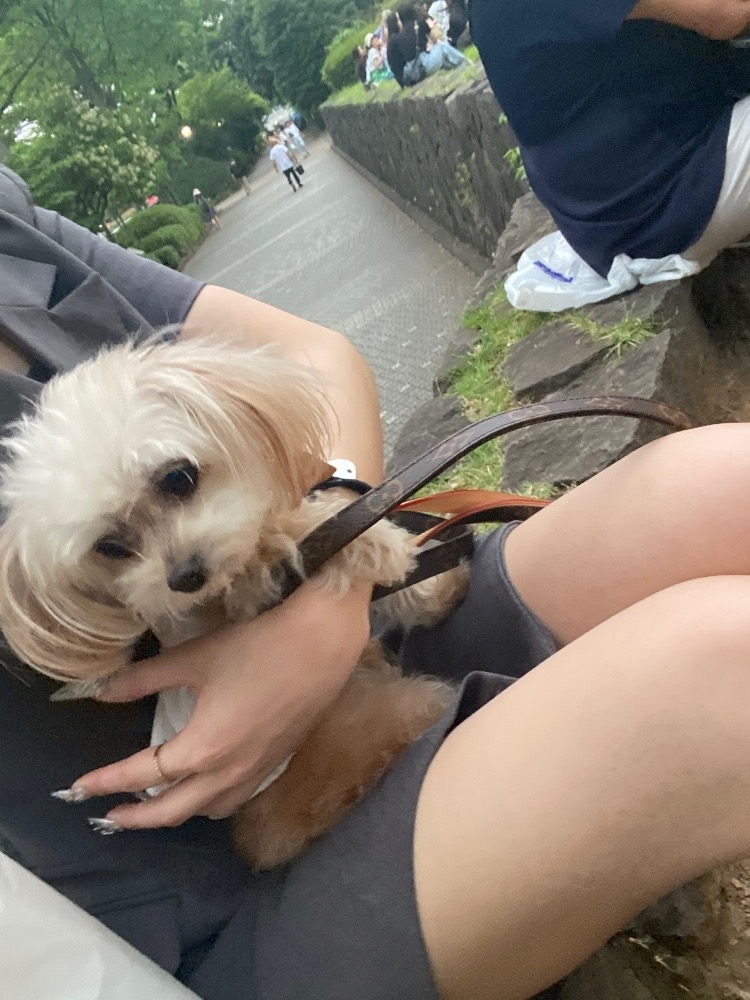 ナナ
