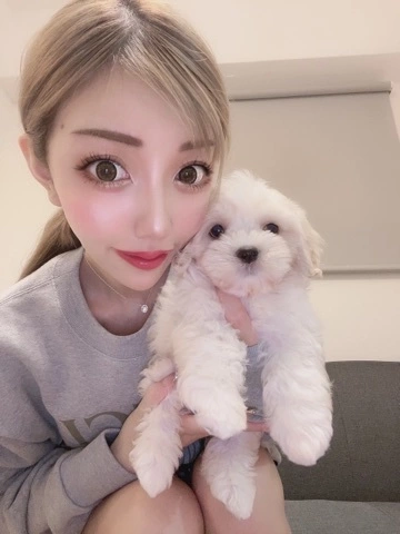 みさ