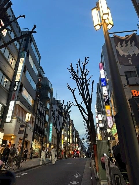ゆきの