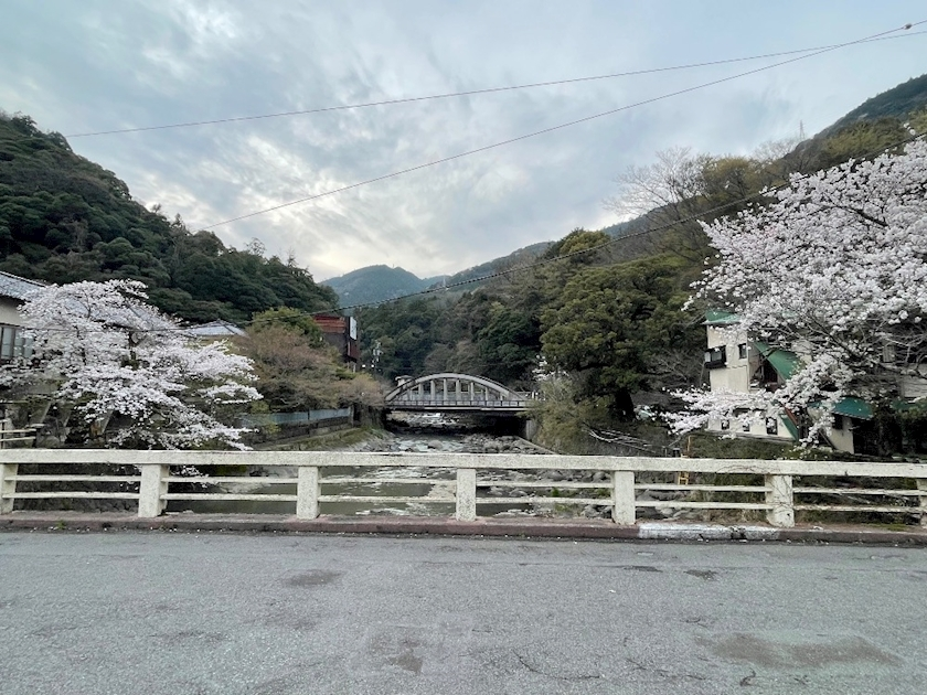 朝倉 しおり