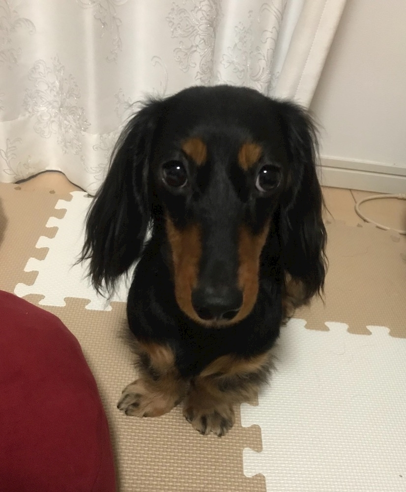 ゆうな
