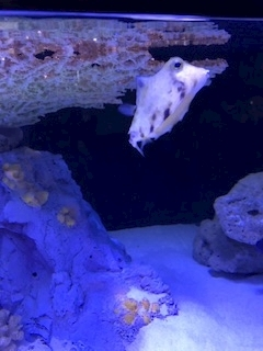 渚 みどり