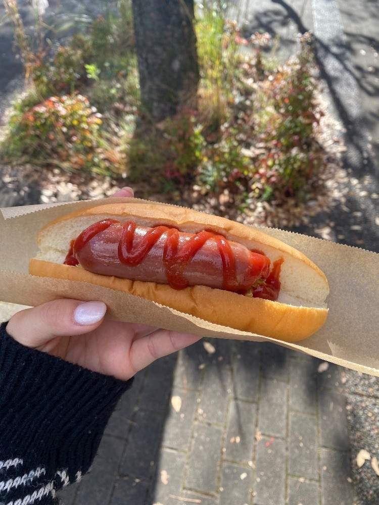 春野 じゅり