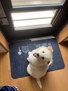 京 さゆみ