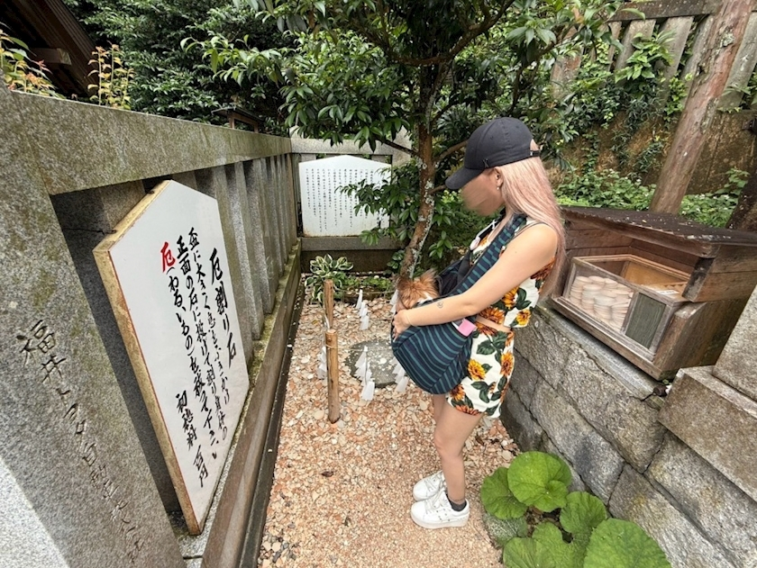 あいら
