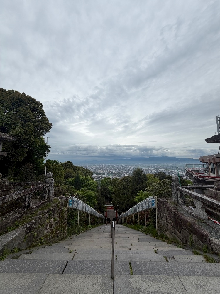 七星 舞冬