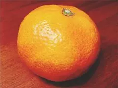 コウ