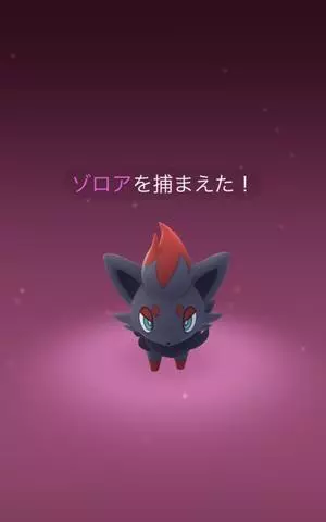 七星 夏純