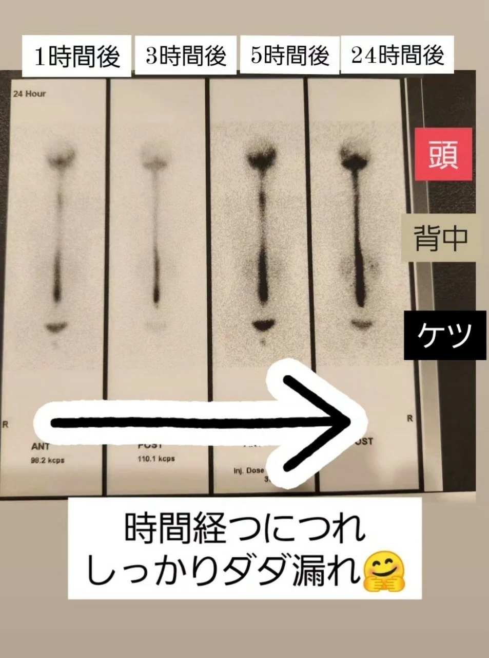 紫音