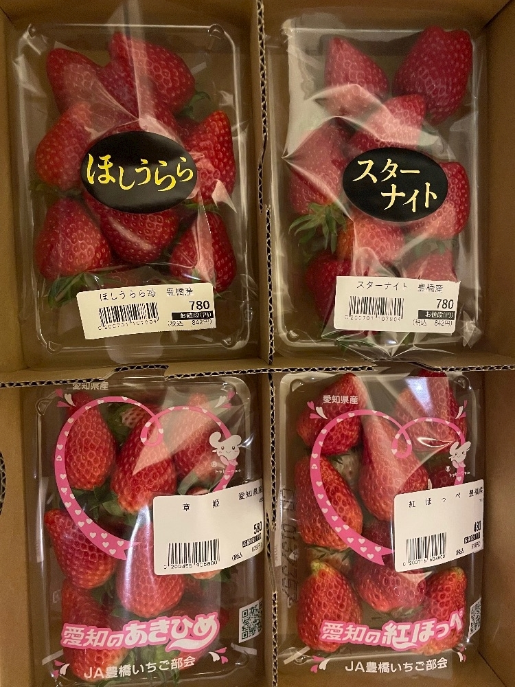 辻 みなみ