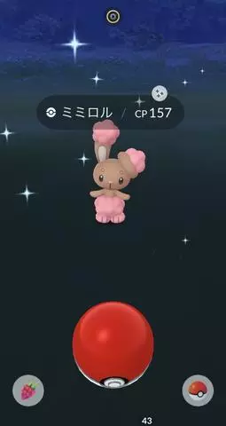 七星 夏純