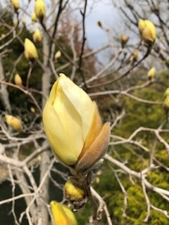 渚 みどり