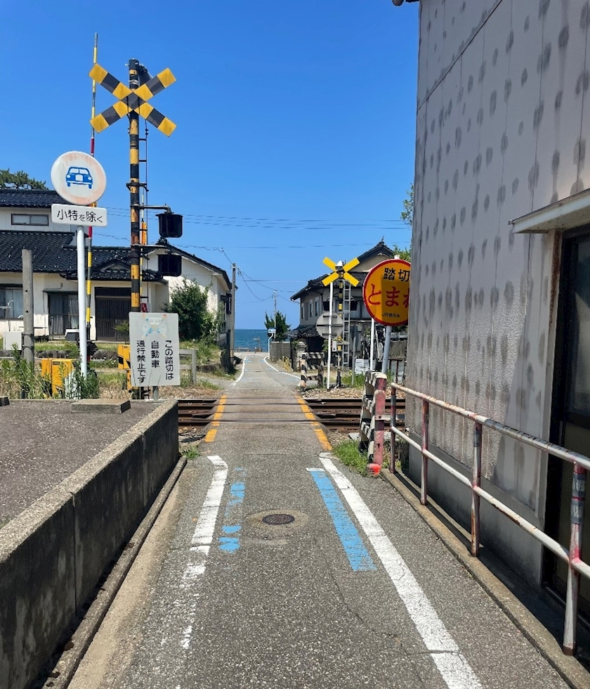 サヤ