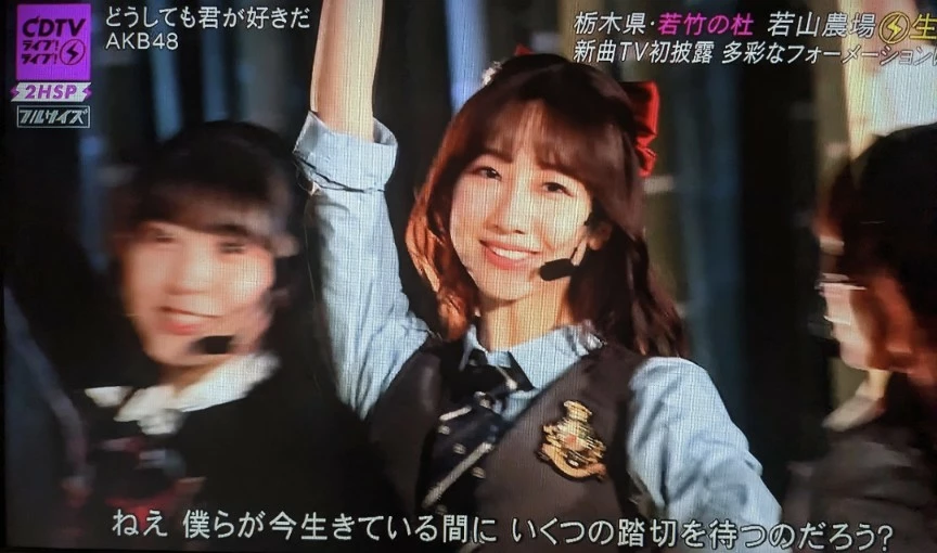 五条 椿