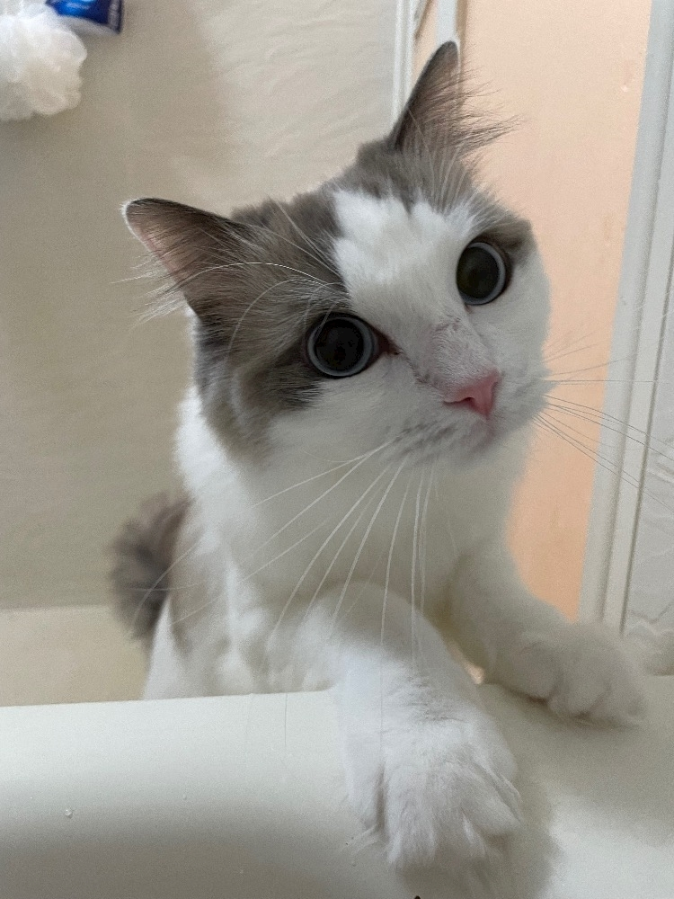 辻 みなみ
