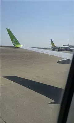 桃瀬 百華