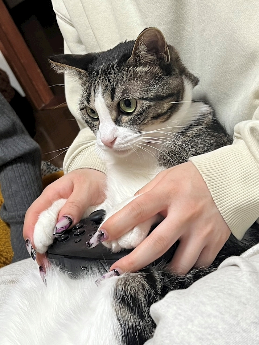 ユズ