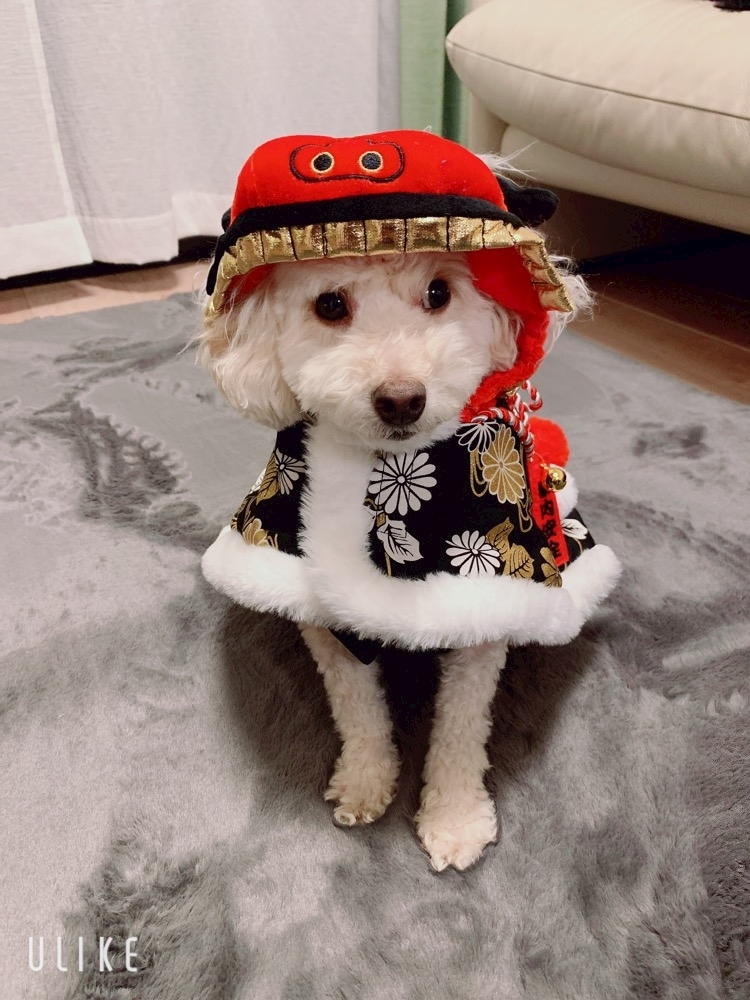 心海 るり
