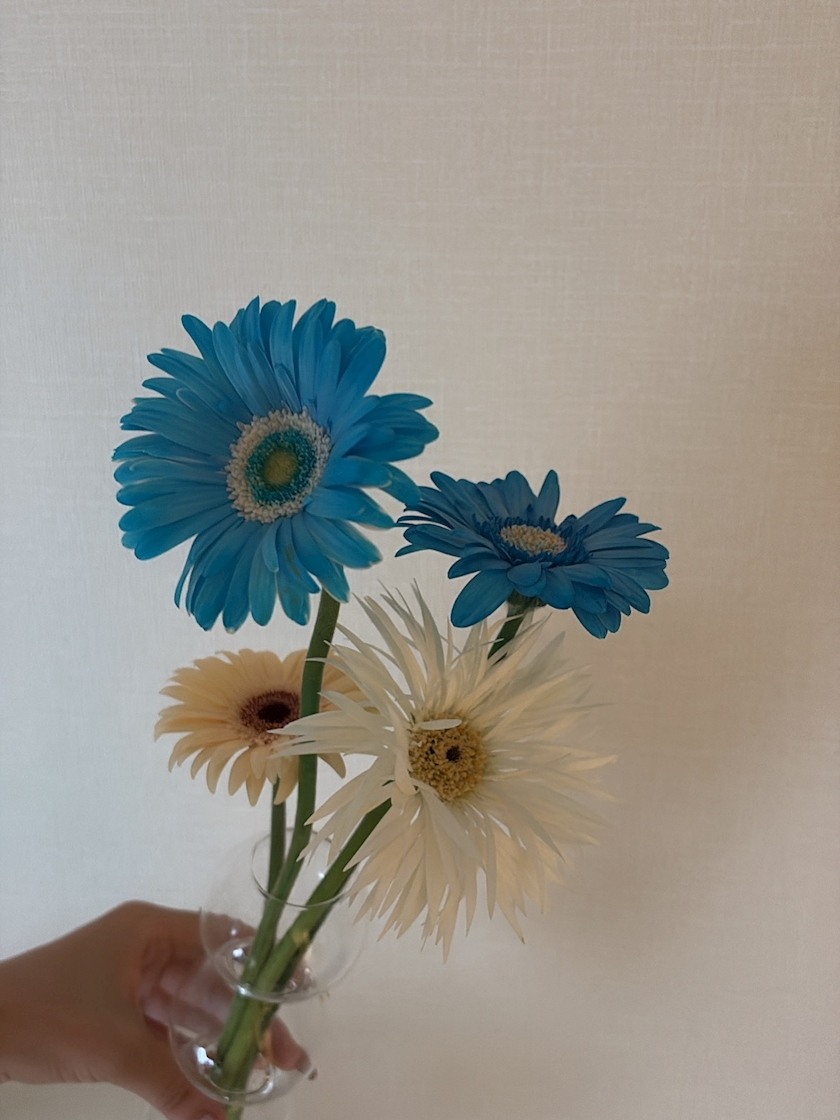 七海 結愛