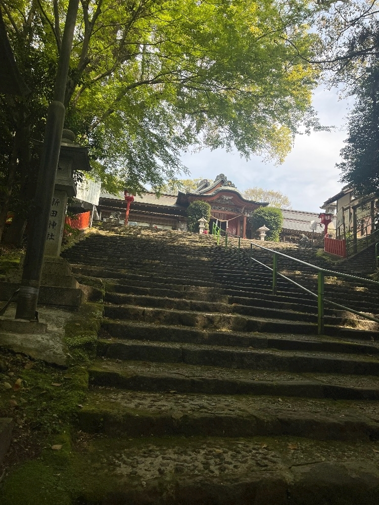 和田 わた