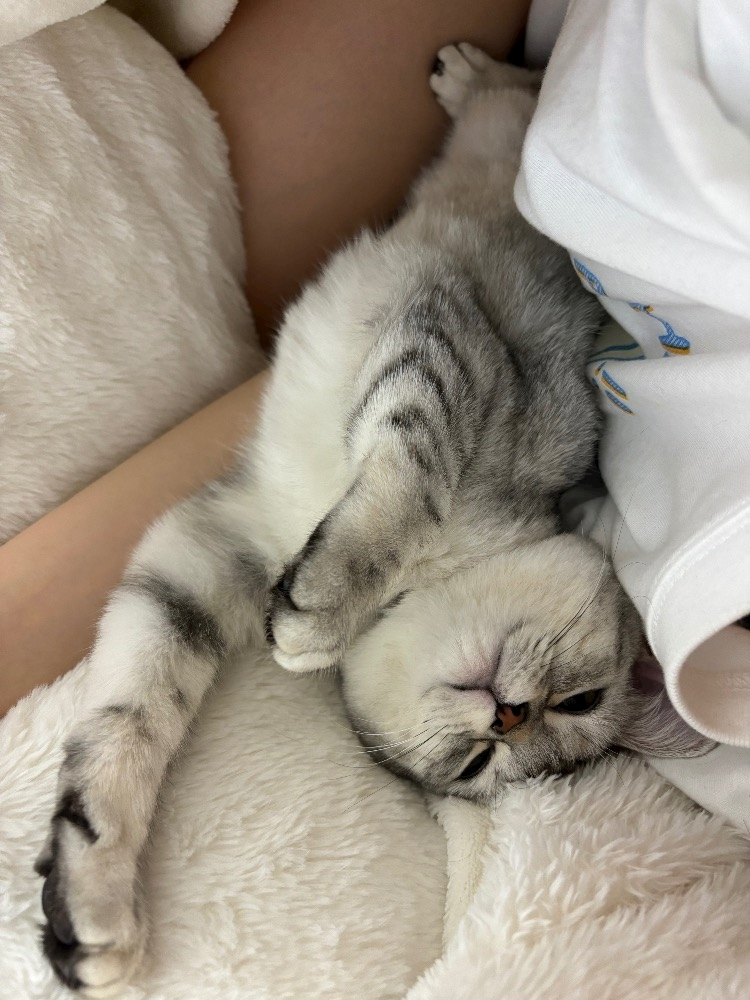 佐倉 里緒