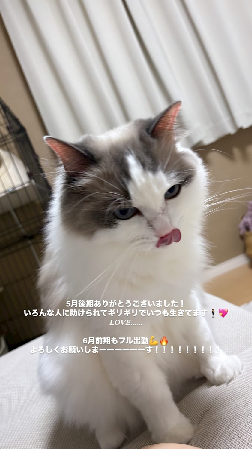 辻 みなみ