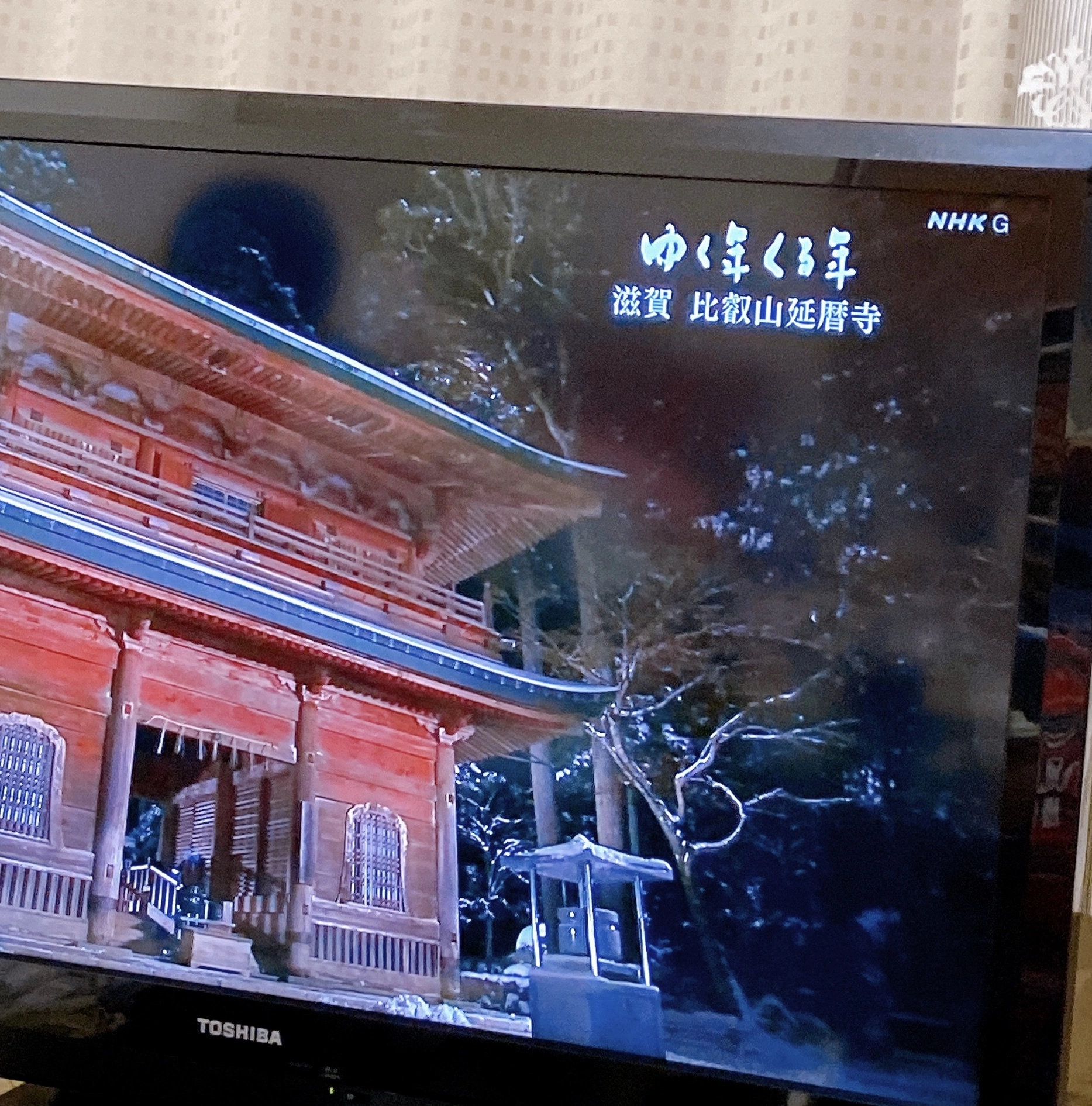 七星 夏純