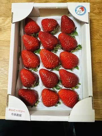 白石 愛莉