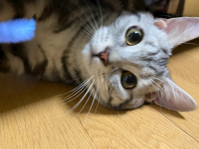 りと